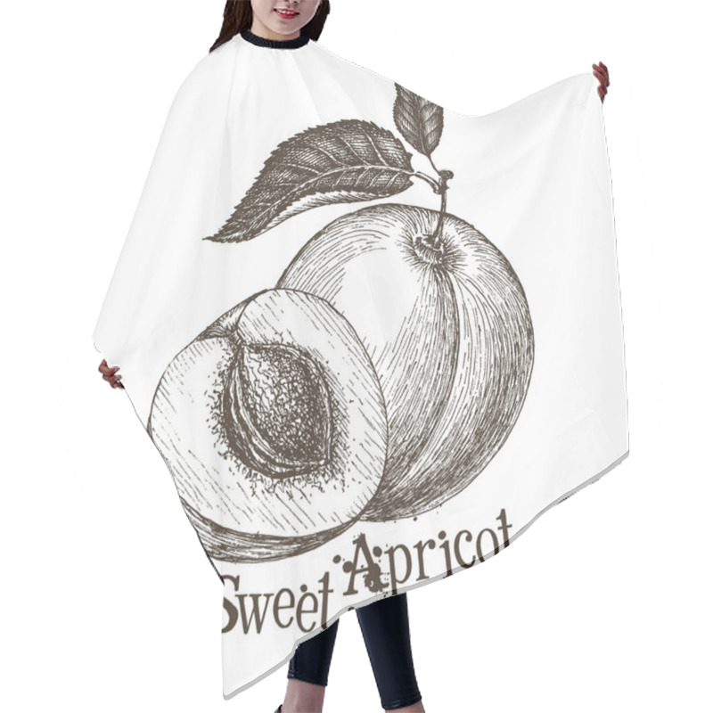 Personality  Apricot Vector Logo Design Template. Fruit Or Food Icon. Hair Cutting Cape