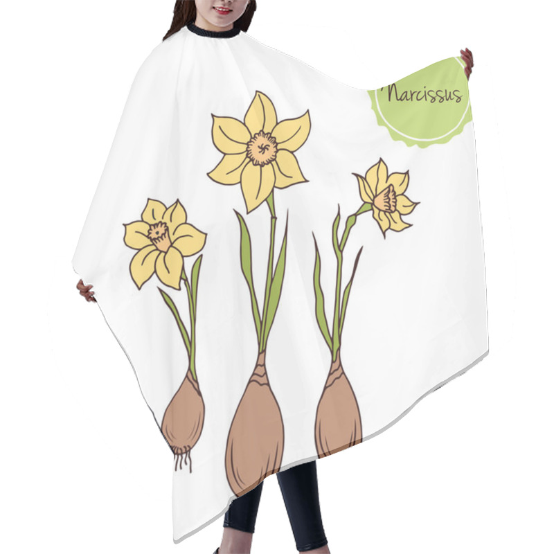 Personality  Daffodils With Bulbs And Editable Vector In Hand Drawn Style Hair Cutting Cape