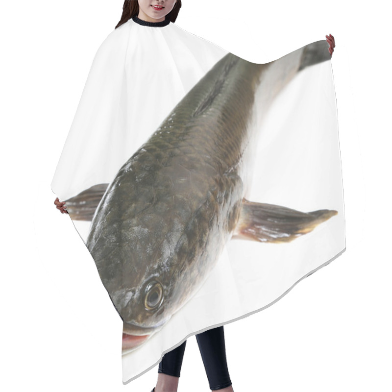 Personality  Channa Marulius Or Giant Snakehead Hair Cutting Cape