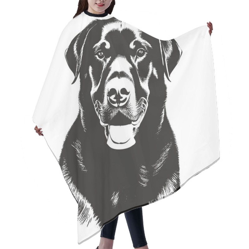 Personality  Rottweiler Hand Drawn Image ,black And White Drawing Of Do Hair Cutting Cape