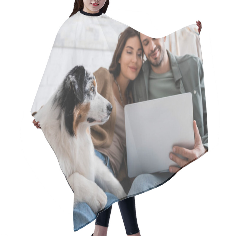 Personality  Pleased Young Couple Watching Movie On Laptop Near Australian Shepherd Dog Hair Cutting Cape