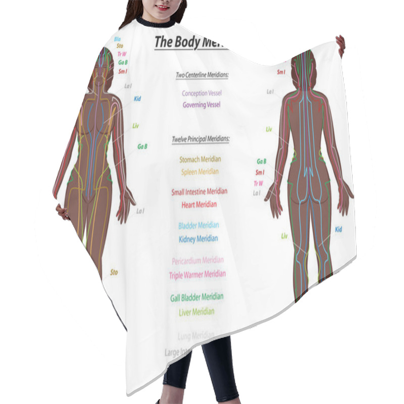 Personality  MERIDIAN SYSTEM CHART, Black Woman, Female Body With Labelled Meridians - Anterior And Posterior View - Traditional Chinese Medicine. Hair Cutting Cape