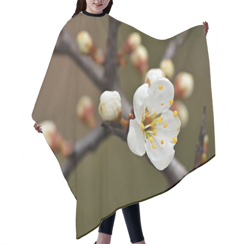 Personality  Blackthorn Twigs With Flower Hair Cutting Cape