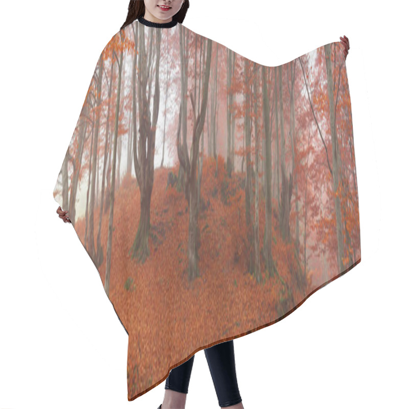 Personality  Orange Golden Autumn Forest Hair Cutting Cape