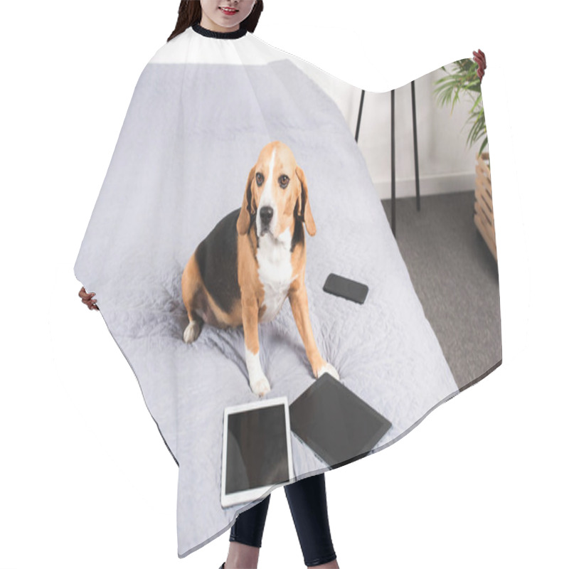 Personality  Dog With Digital Devices Hair Cutting Cape