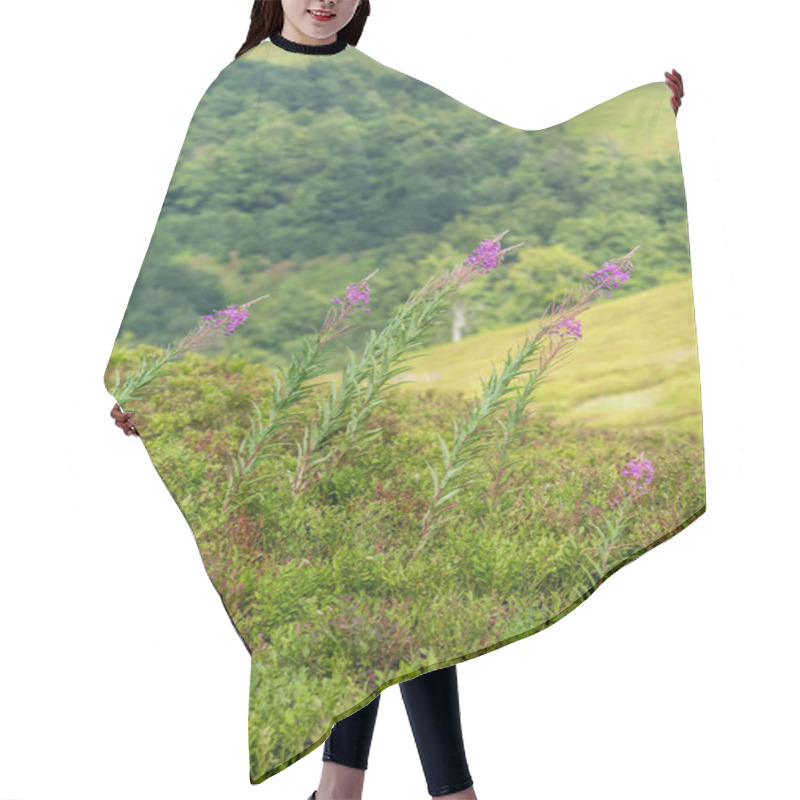 Personality  Capturing The Vibrant Display Of Fireweed Flowers In Full Bloom On A Meadow In The Carpathian Mountains, Showcasing The Beauty Of The Alpine Region Hair Cutting Cape