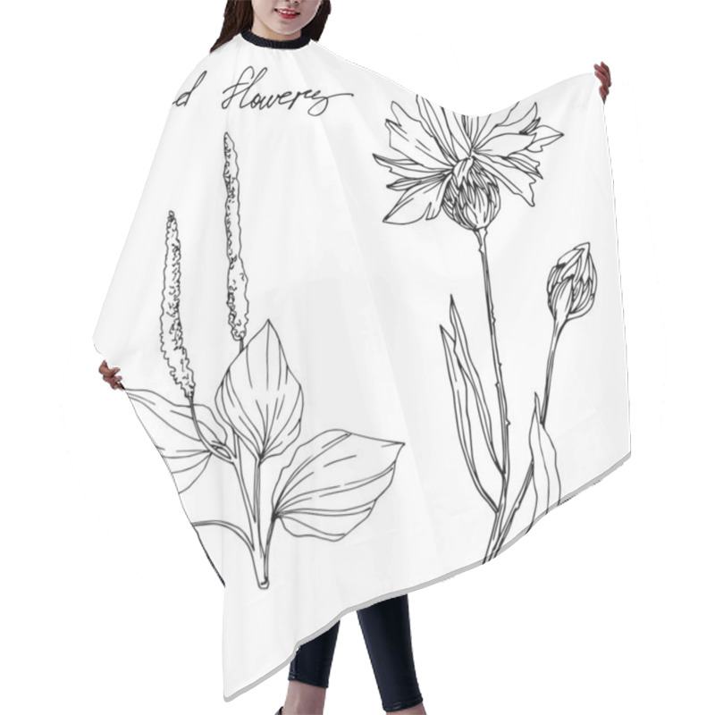 Personality  Vector Wildflowers Floral Botanical Flowers. Black And White Engraved Ink Art. Isolated Flower Illustration Element. Hair Cutting Cape