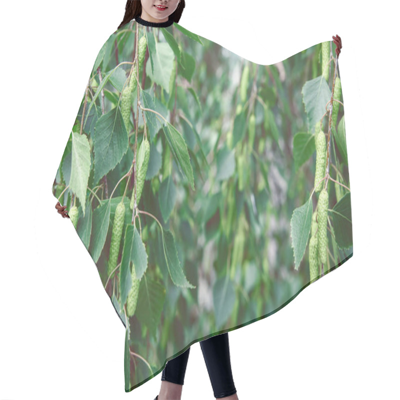 Personality  Lush Green Birch Branches Close Up Hair Cutting Cape