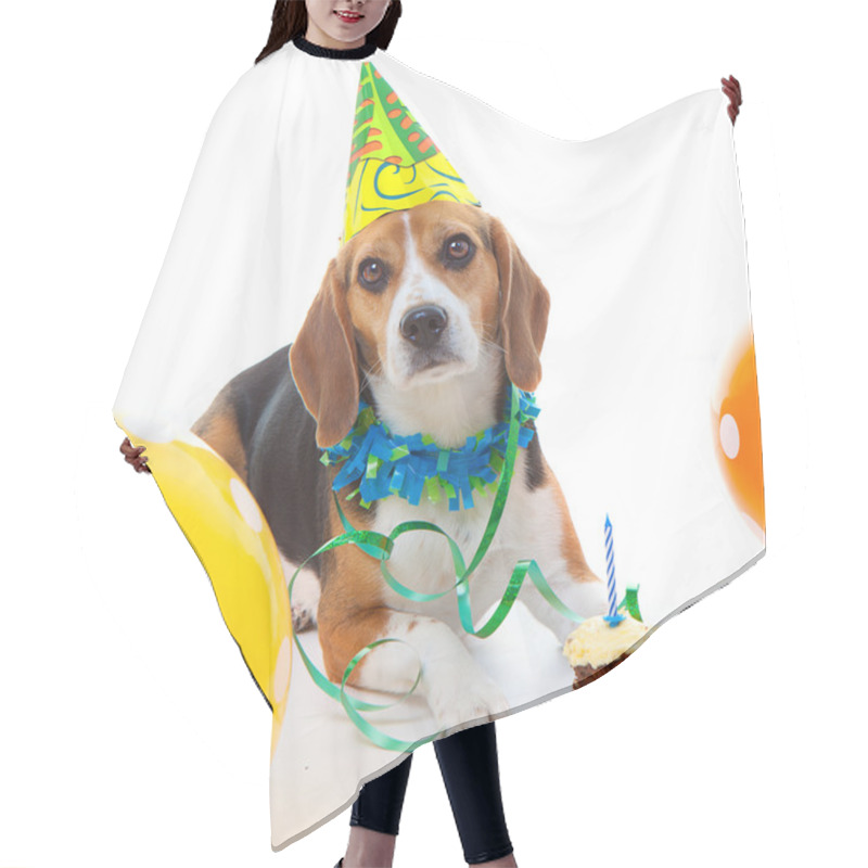 Personality  Pet First Birthday Party Celebration Hair Cutting Cape