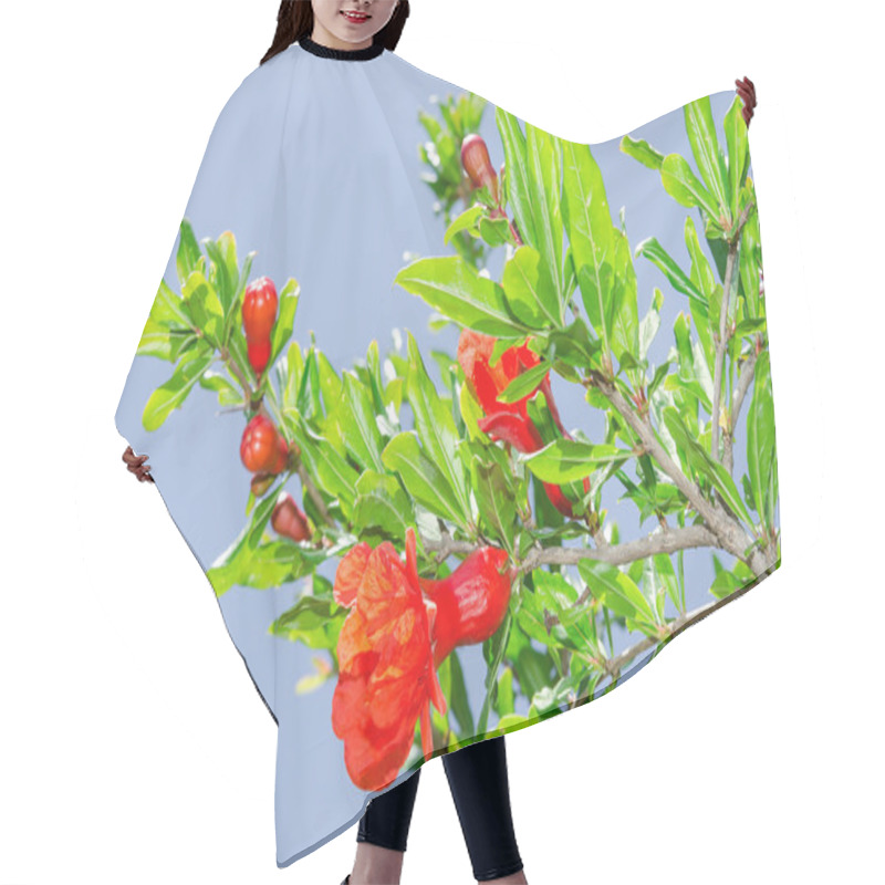 Personality  Branches Of Spring Blossomin Pomegranate Sunlit Red Flowers Hair Cutting Cape