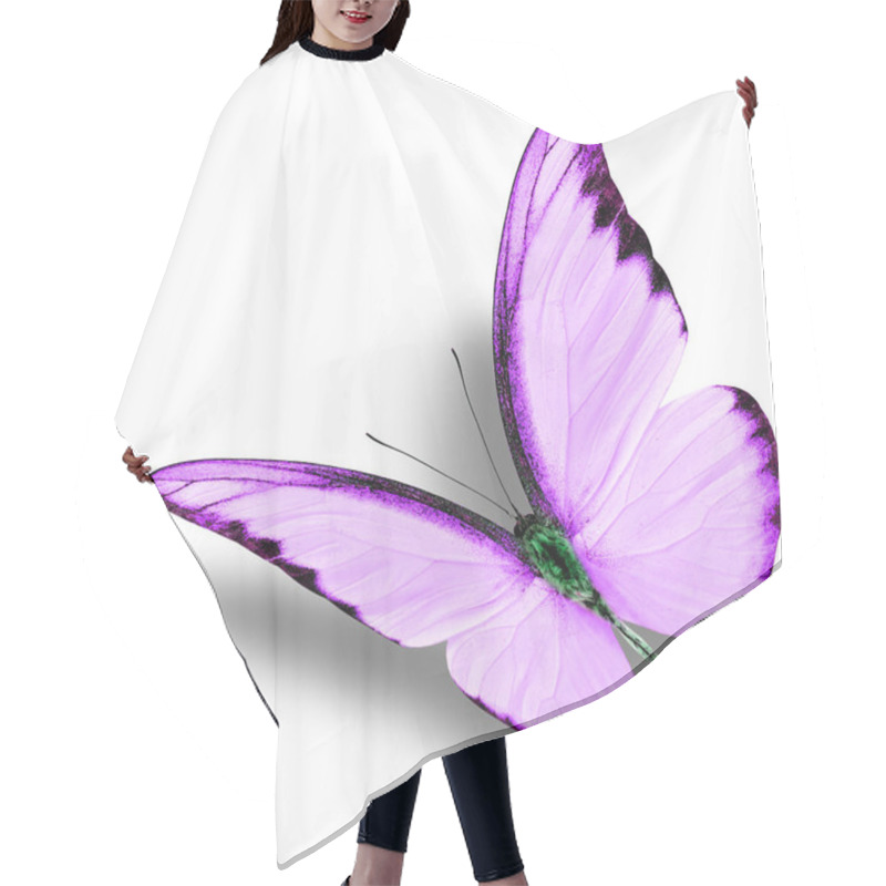 Personality  Beautiful Flying Purple Butterfly On White Background With Soft Shadow (Chocolate Albatross In Exotic Fancy Color Profile) Hair Cutting Cape