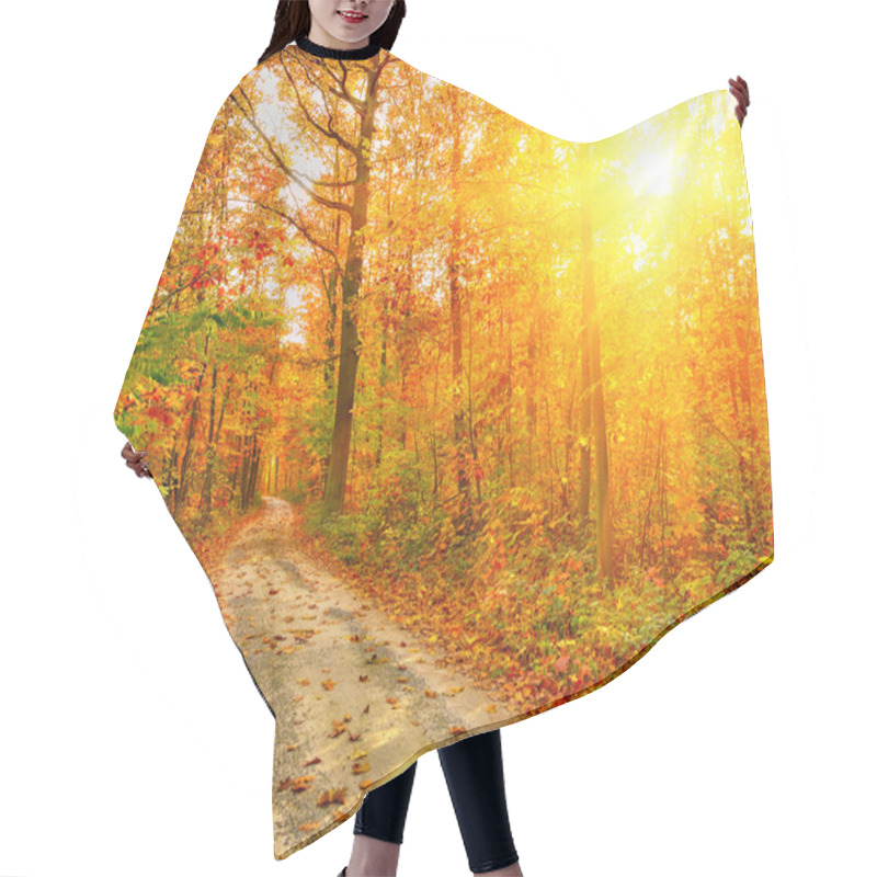 Personality  Pathway In The Autumn Forest Hair Cutting Cape