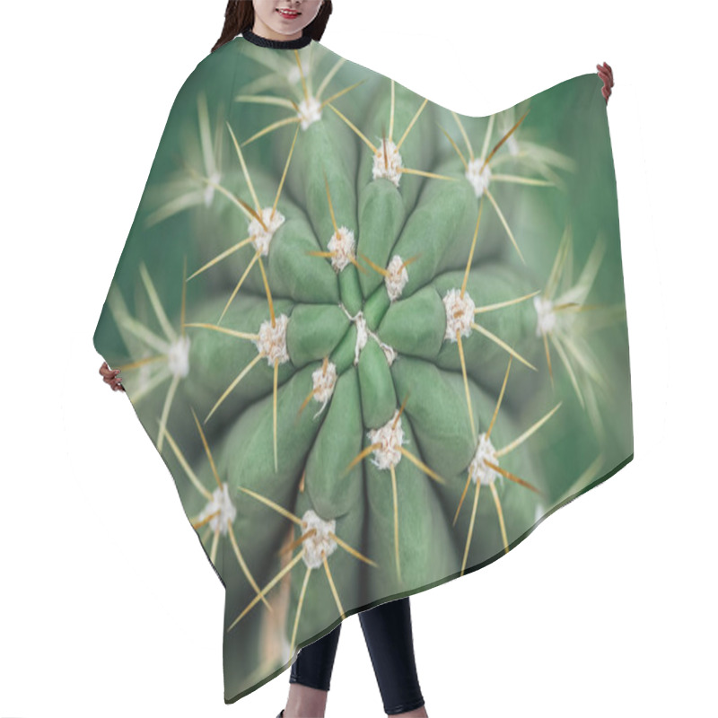 Personality  Top View Of Sharp Needles On Green Cactus Hair Cutting Cape