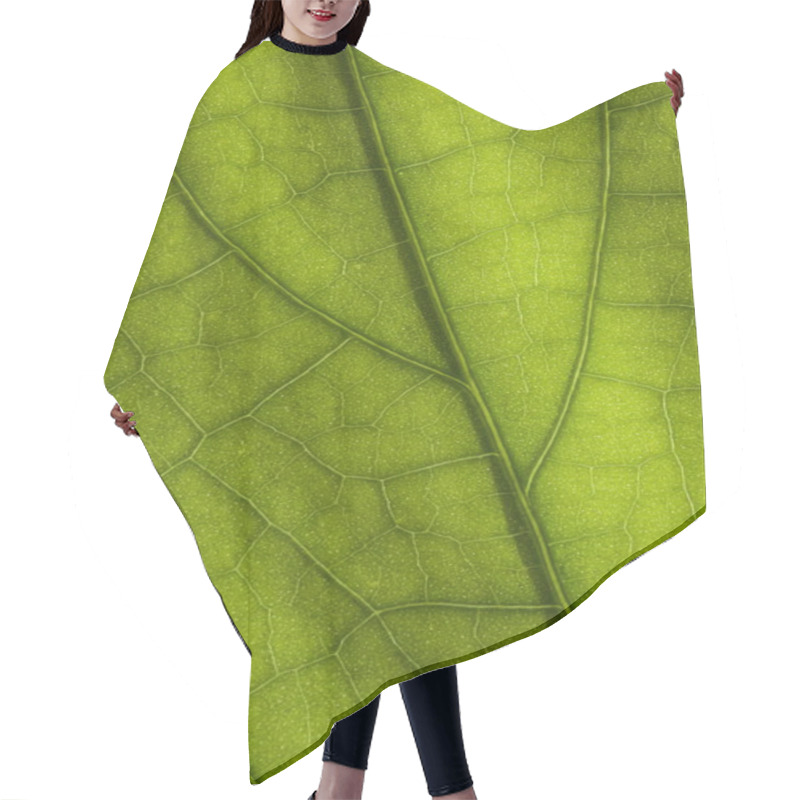 Personality  Green Leaf Close-up Hair Cutting Cape