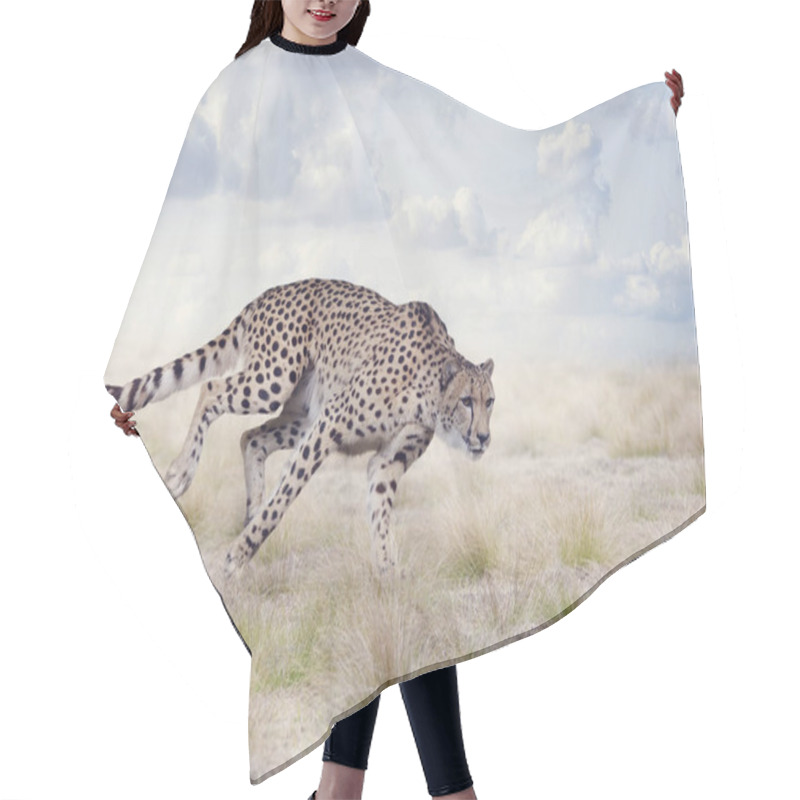 Personality  Cheetah Running In The Grassland Hair Cutting Cape