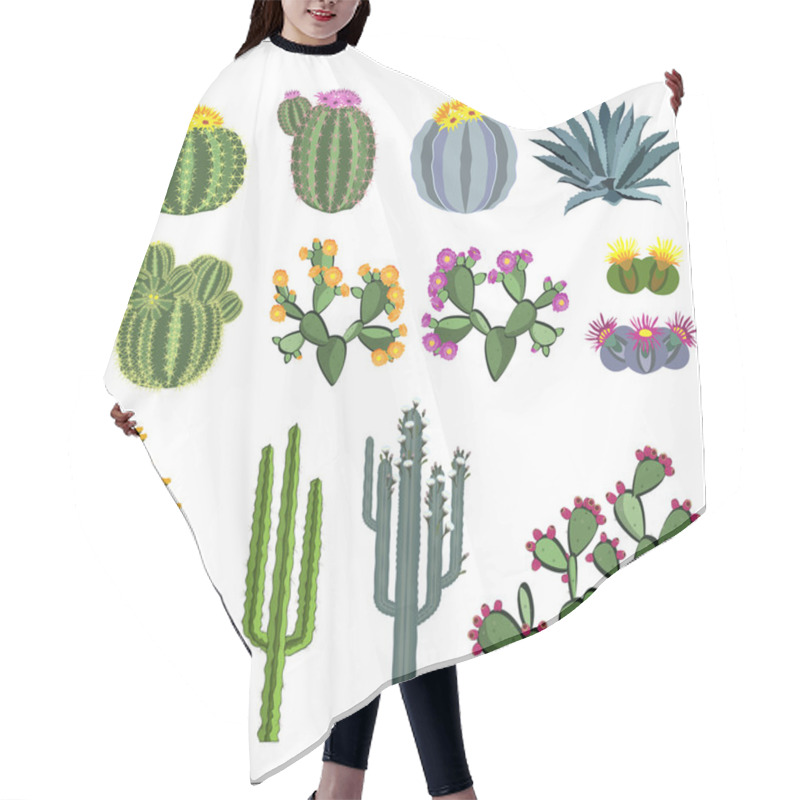 Personality  Cactus And Succulent Vector Set. Hair Cutting Cape