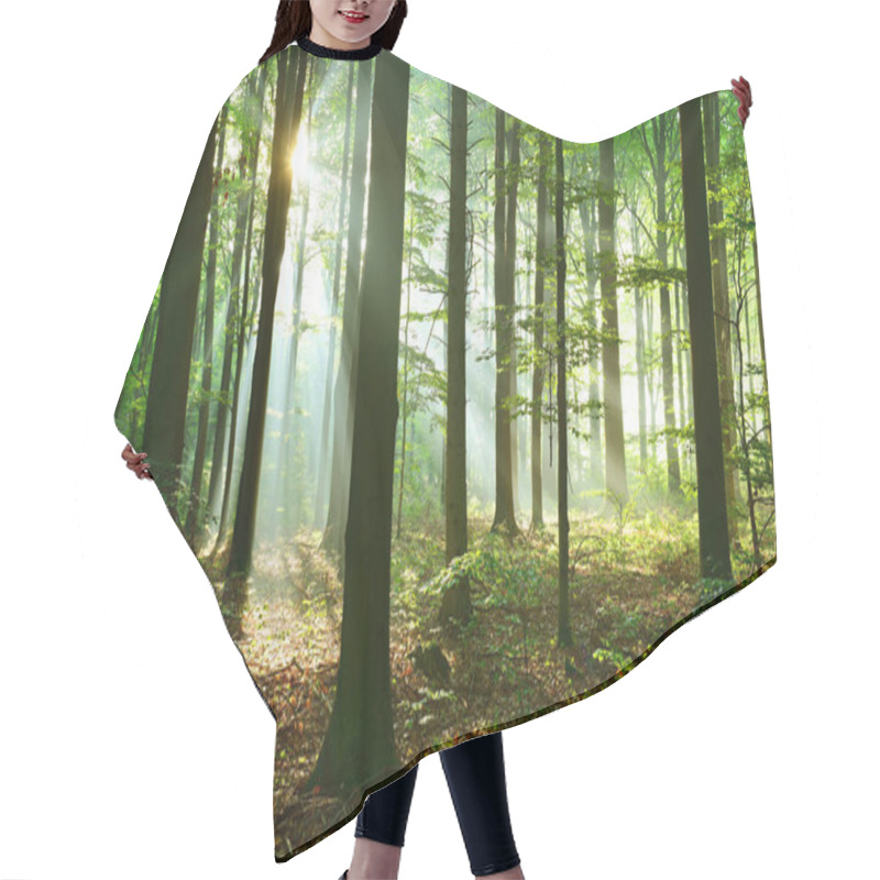 Personality  Beautiful Sunbeams In Autumn Deciduous Forest Hair Cutting Cape