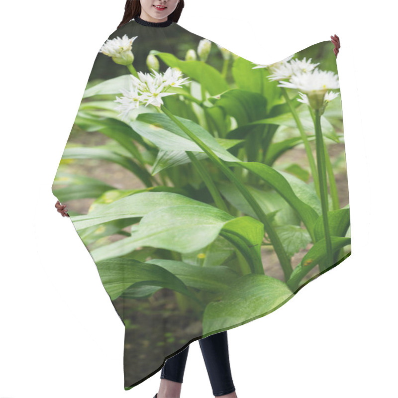 Personality  Bear Garlic By The Stream In A Wet Garden Meado Hair Cutting Cape