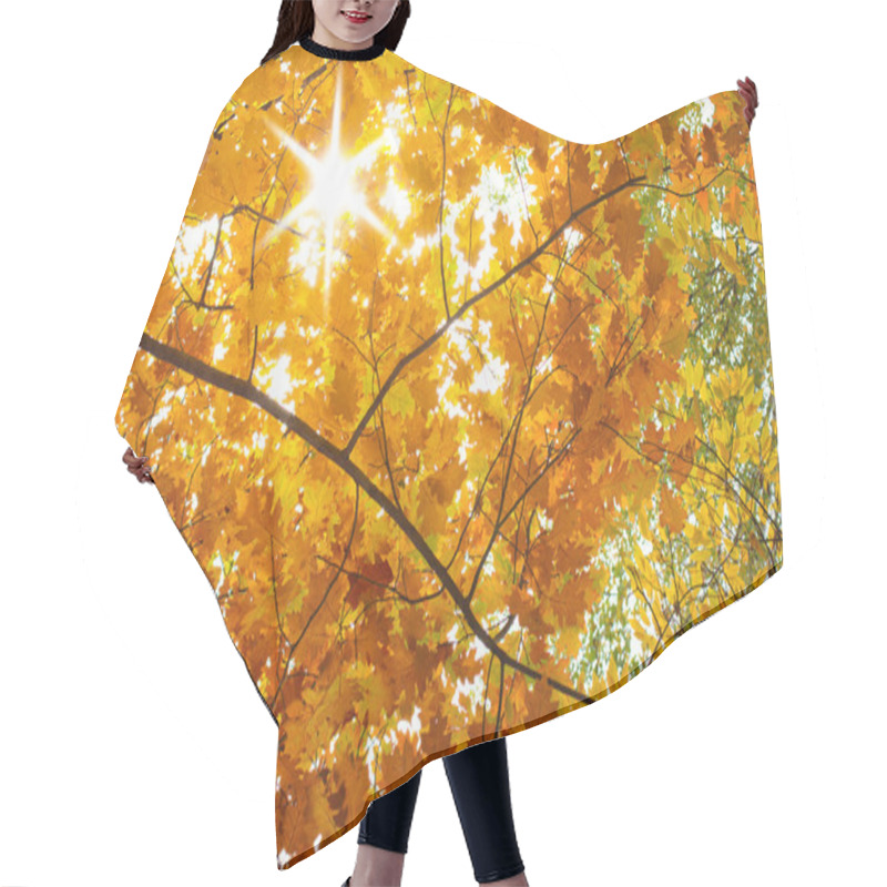 Personality  Autumn Landscape Hair Cutting Cape