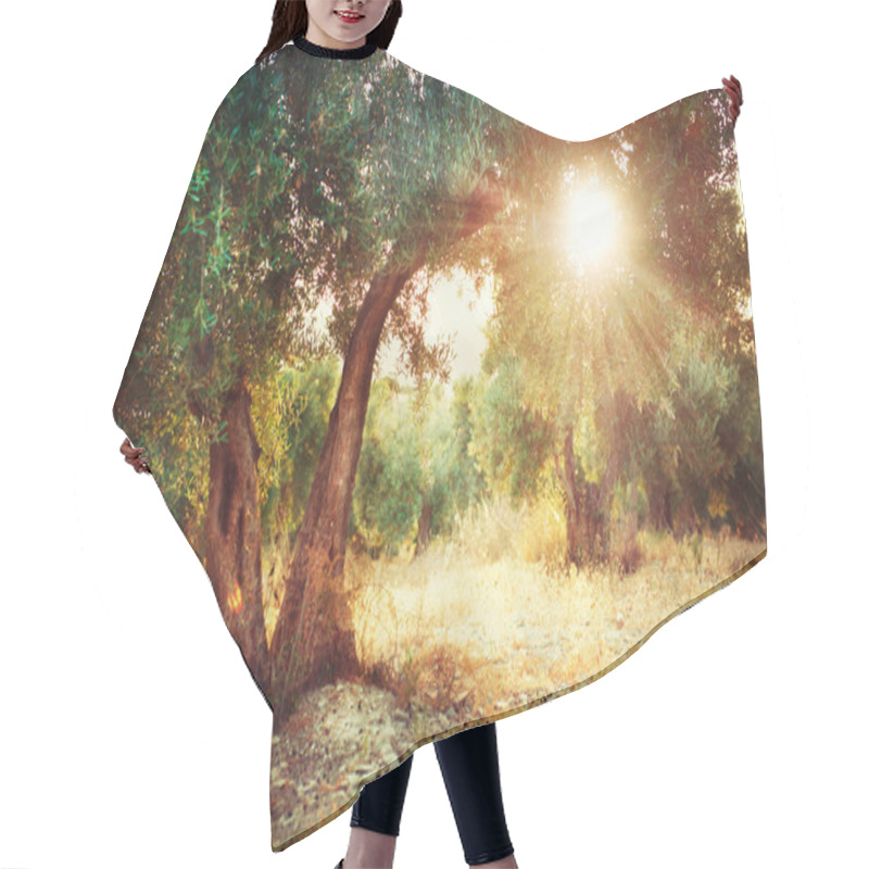 Personality  Olive Trees Hair Cutting Cape