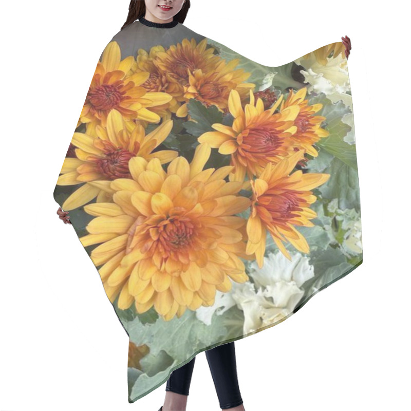 Personality  Vibrant Orange Chrysanthemum Blooms, Adding Charm And Warmth With Their Radiant, Full Petals In Autumn Gardens. Hair Cutting Cape