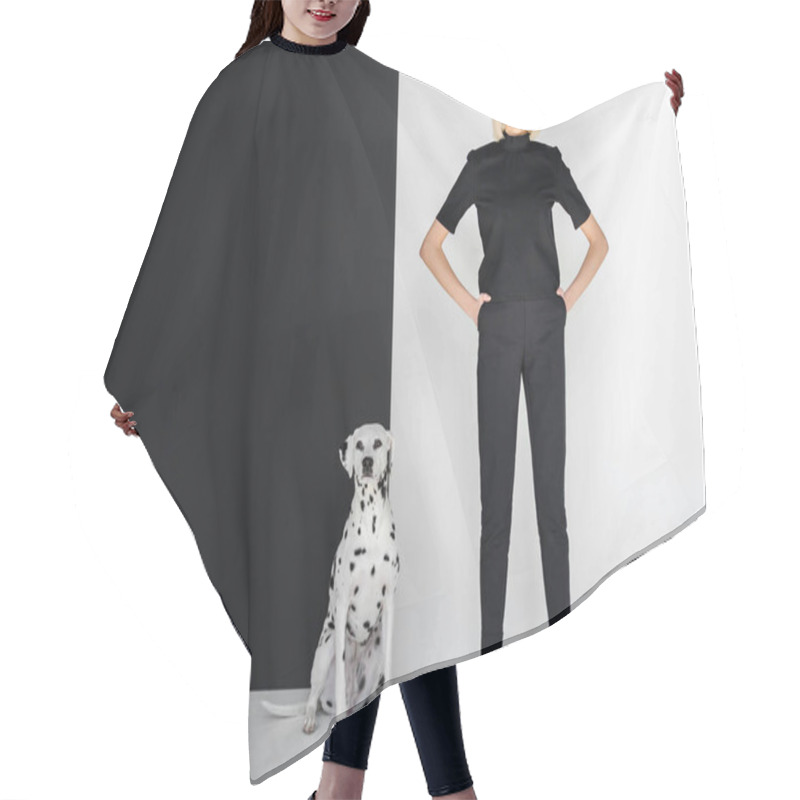 Personality  Beautiful Stylish Blonde Woman In Black Clothes Standing Near Black And White Wall With Dalmatian Dog Hair Cutting Cape