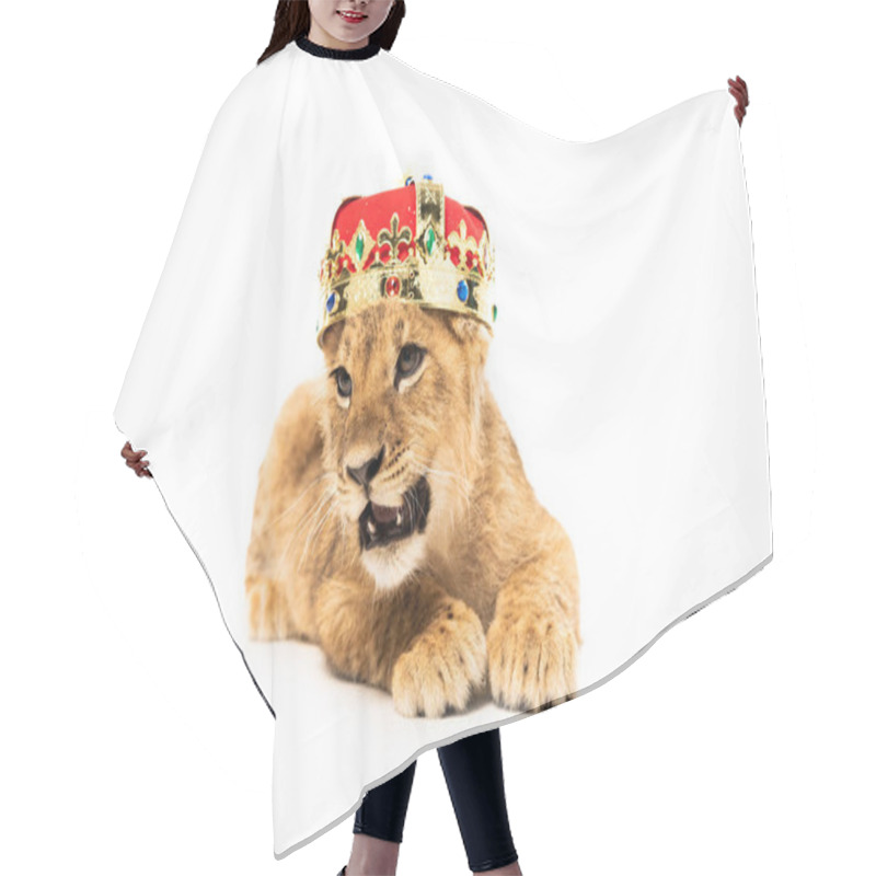 Personality  Cute Lion Cub In Golden And Red Crown Isolated On White Hair Cutting Cape