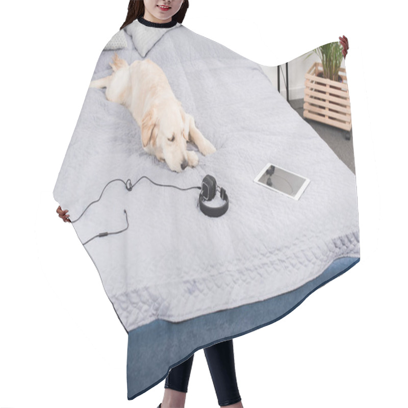 Personality  Dog With Headphones And Digital Tablet Hair Cutting Cape