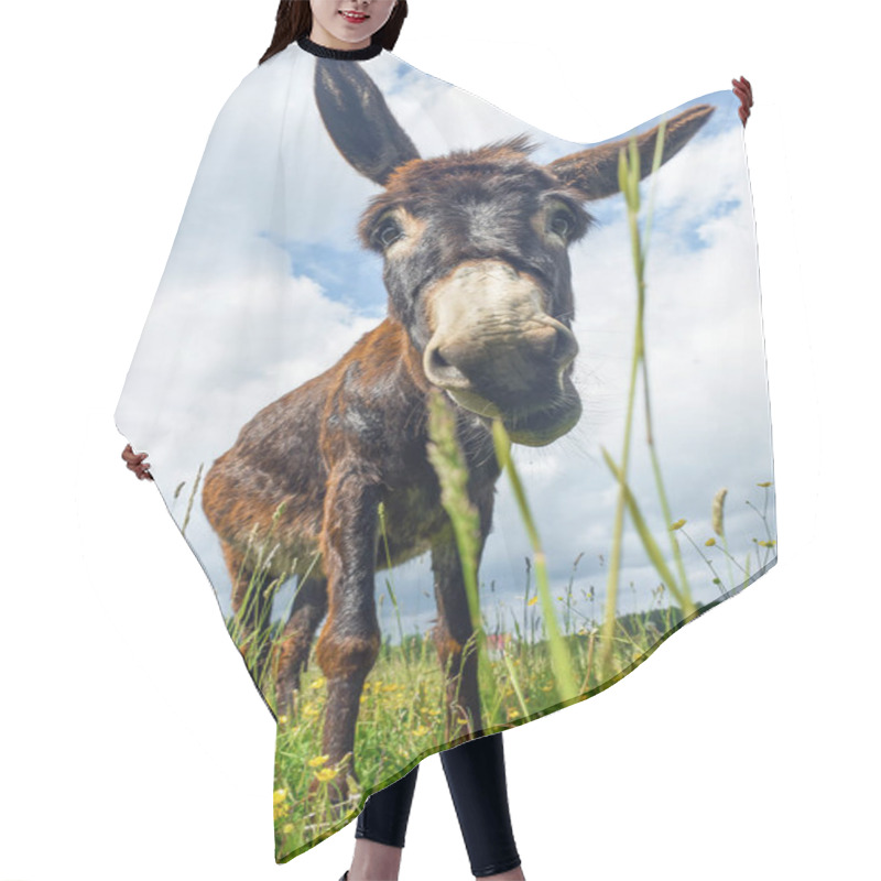 Personality  Donkey Grazing In Field Day Hair Cutting Cape