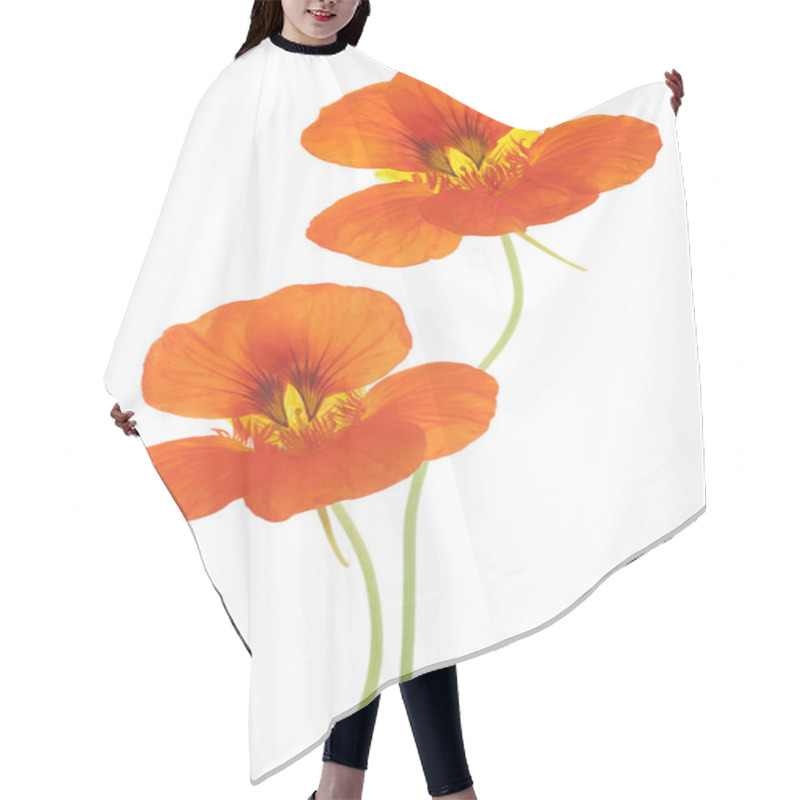 Personality  Nasturtium Hair Cutting Cape