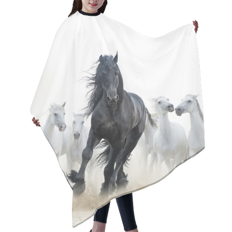 Personality  Black Stallion And White Horses Hair Cutting Cape