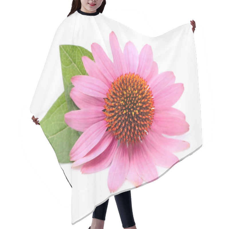 Personality  Echinacea Flowers Close Up Hair Cutting Cape