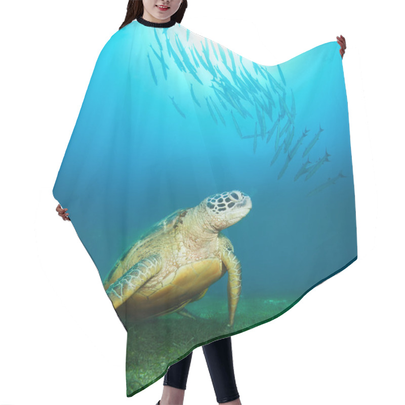 Personality  Sea Turtle Deep Underwater Hair Cutting Cape