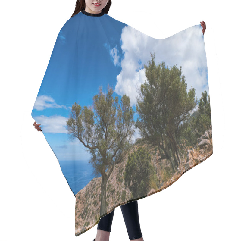 Personality  Typical Greek Or Cretan Landscape, Hills, Mountain, Spring, Bushes. Olive Tree, Paved Rocky Path. Clear Blue Sky, Clouds, Sea. Akrotiri, Crete, Greece Hair Cutting Cape