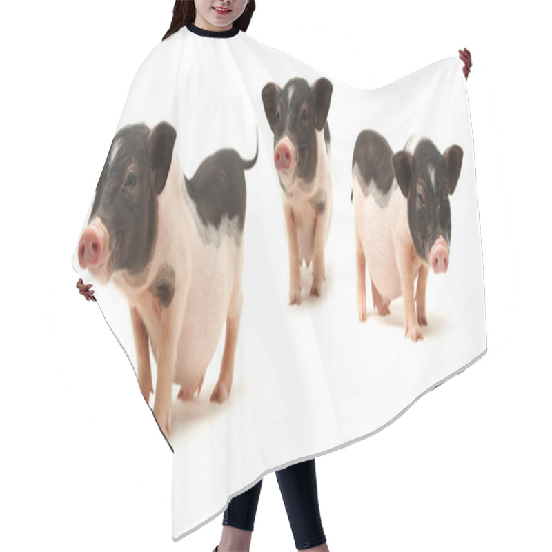 Personality  Small-eared Pigs Hair Cutting Cape