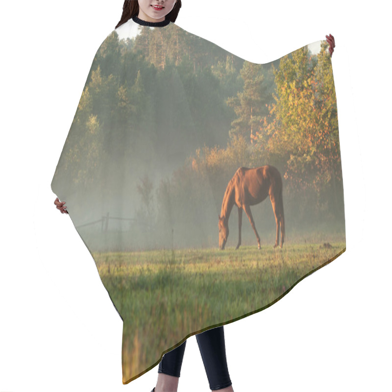 Personality  Horse On Fog Meadow In Morning Hair Cutting Cape