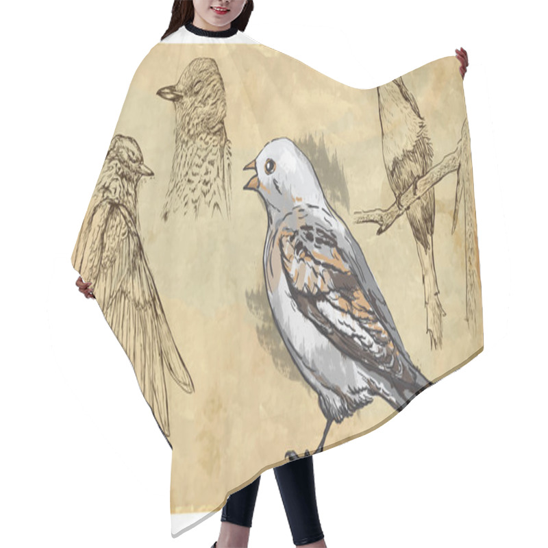 Personality  Animals, Theme: SONGBIRDS Hair Cutting Cape