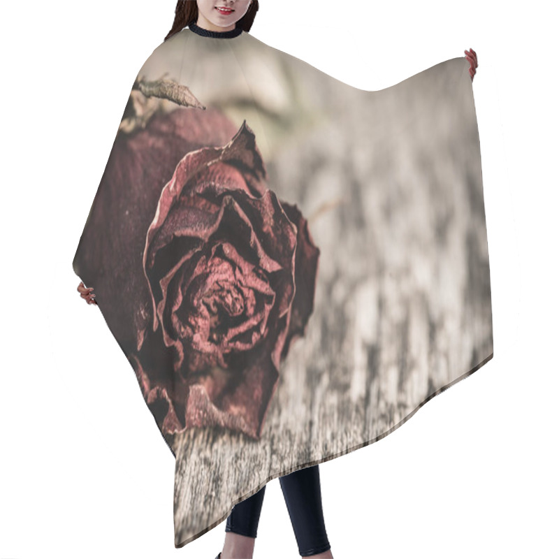 Personality  Closeup Dried Red Rose, Dead Red Rose On Wooden Background Hair Cutting Cape