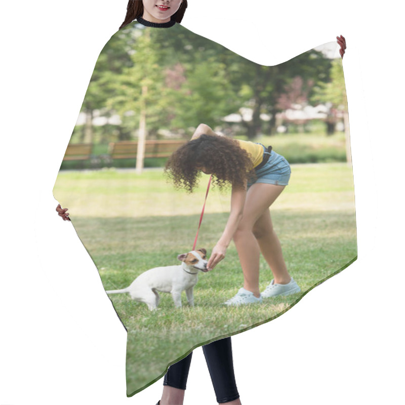 Personality  Selective Focus Of Young Woman Feeding Jack Russell Terrier Dog Hair Cutting Cape