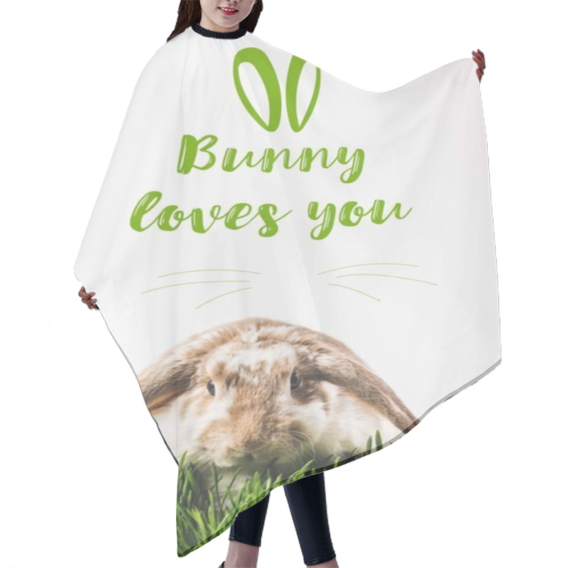 Personality  Rabbit Looking At Camera And Sitting On Grass With Eggs And Bunny Loves You Lettering Hair Cutting Cape