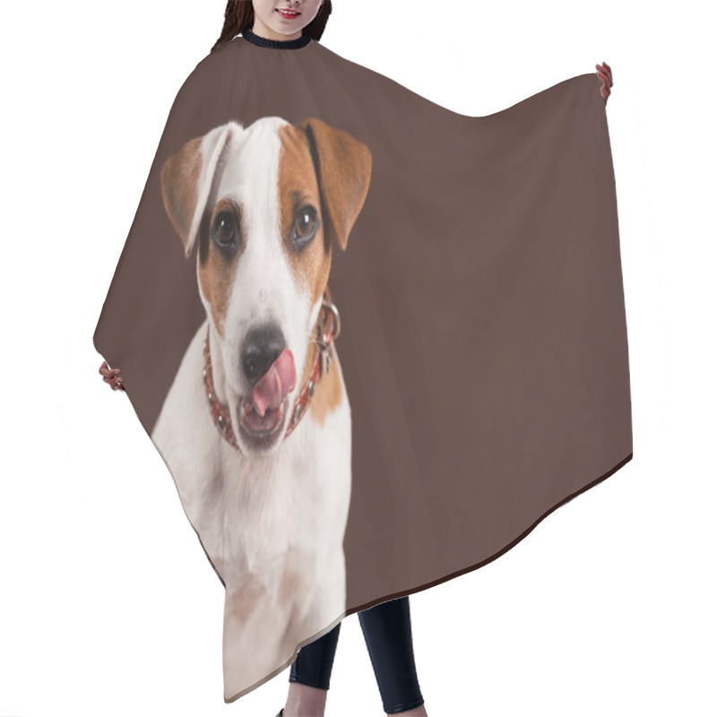 Personality  Licking Dog Puppy Hair Cutting Cape