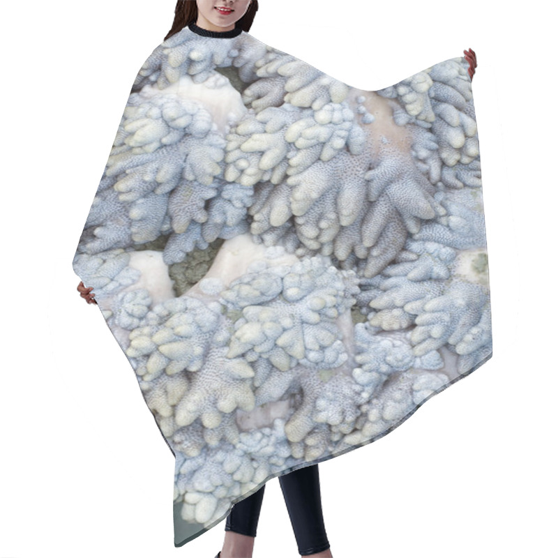 Personality  Soft Coral Texture Hair Cutting Cape