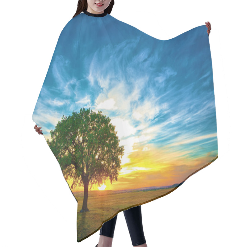 Personality  Oak Tree Hair Cutting Cape