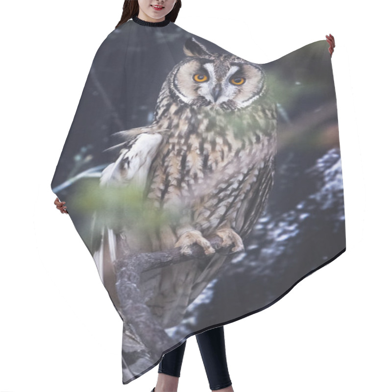 Personality  Long-eared Owl Perched Hair Cutting Cape