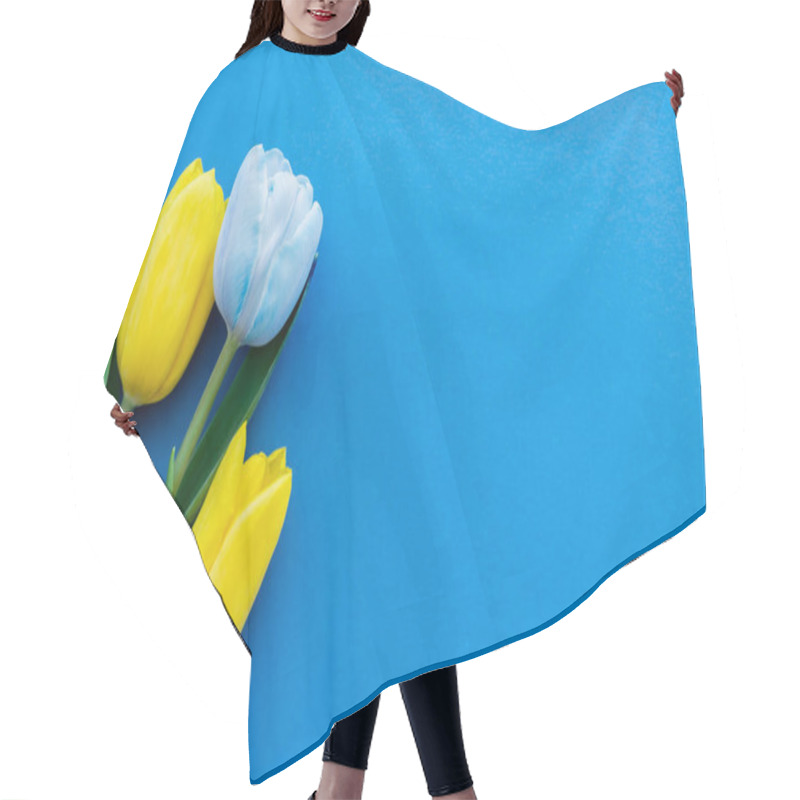 Personality  Top View Of Yellow Tulips On Blue Background With Copy Space Hair Cutting Cape