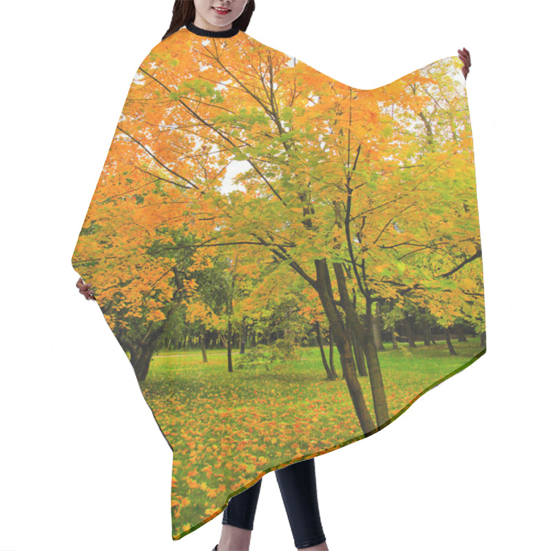 Personality  Beautiful Autumnal Forest Hair Cutting Cape