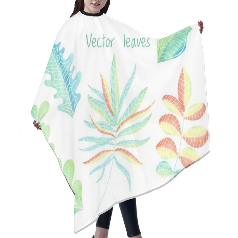 Personality  Leaves Vector Set, Hand Drawn Eco Collection Hair Cutting Cape