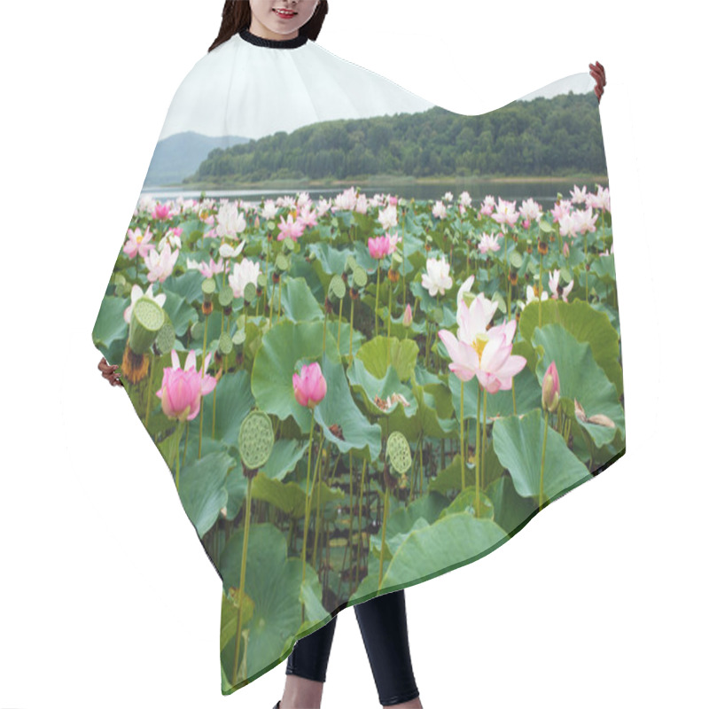 Personality  The Far Eastern Symbol Is The Beautiful Lotus. Hair Cutting Cape