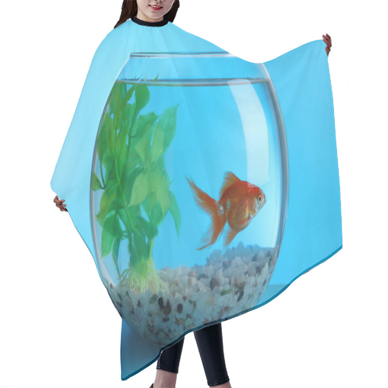 Personality  Beautiful Goldfish In Round Aquarium With Decorative Plant And Pebbles On Blue Background Hair Cutting Cape