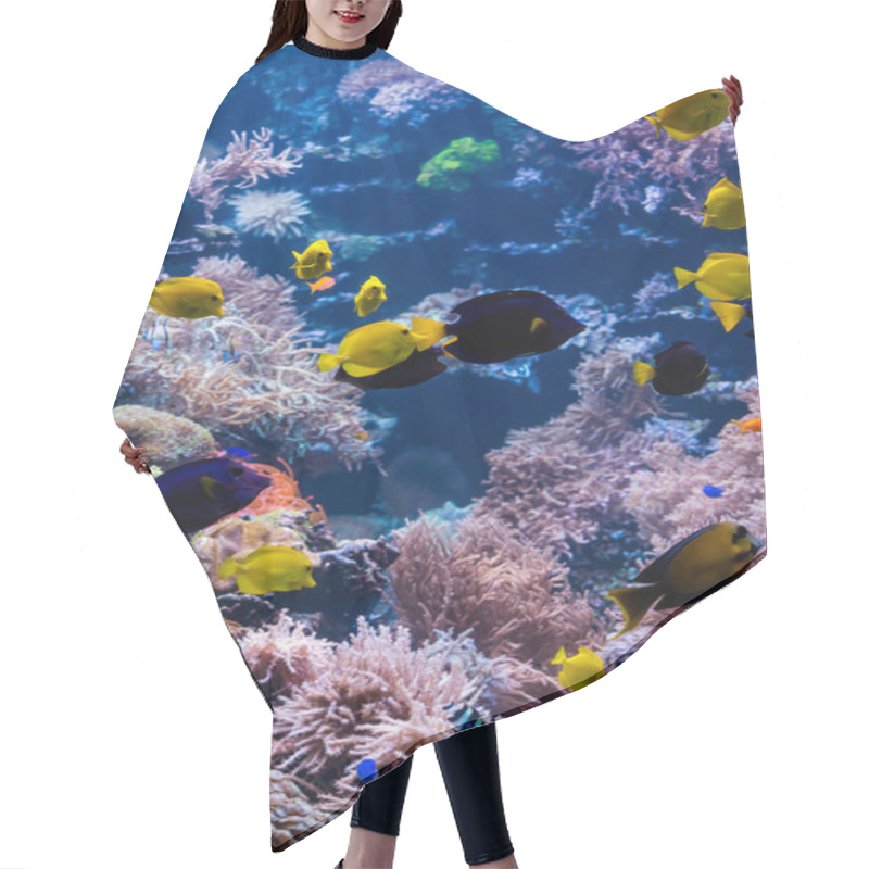 Personality  Underwater Scene With Coral Reef And Tropical Fish Hair Cutting Cape